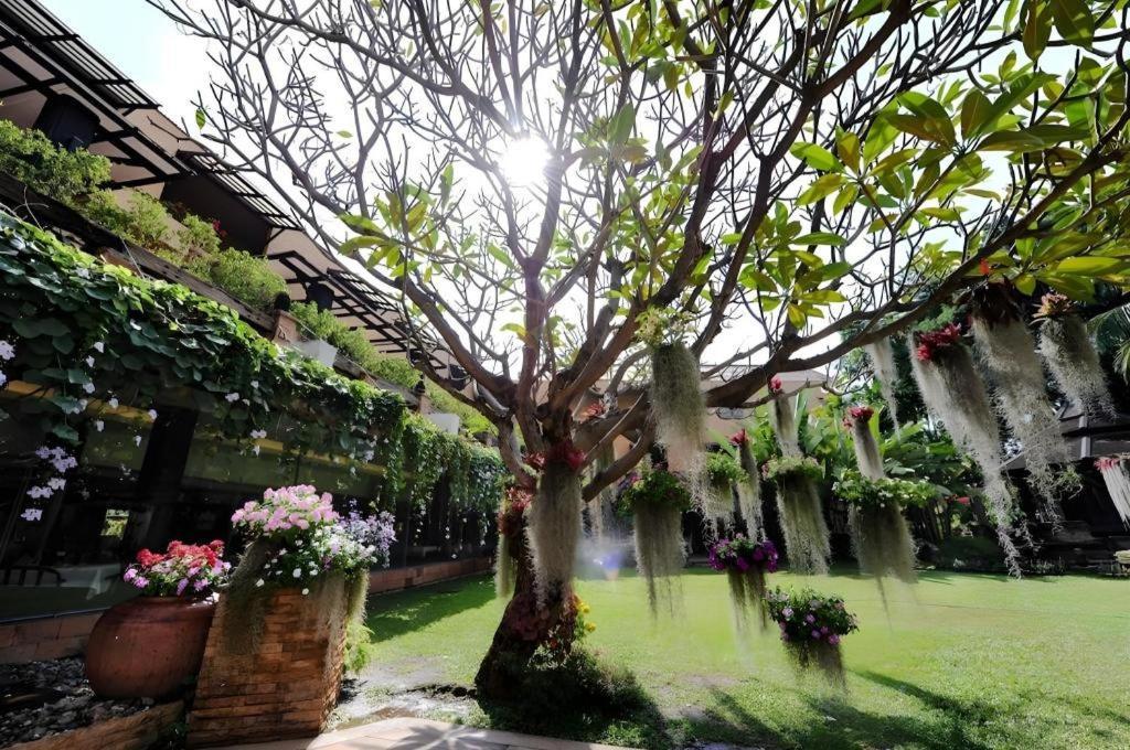 Garden 3* Chiang Mai